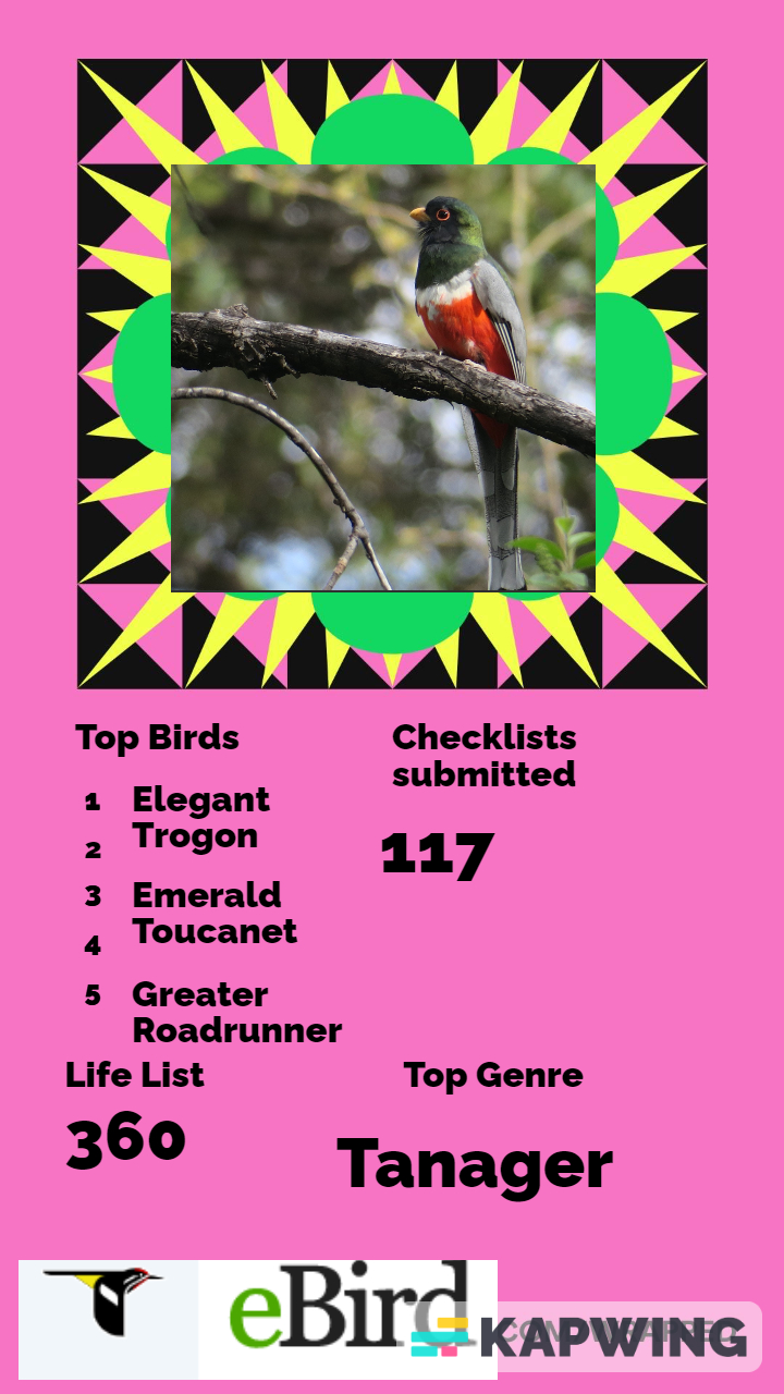 your 2022 eBird&nbsp;wrapped