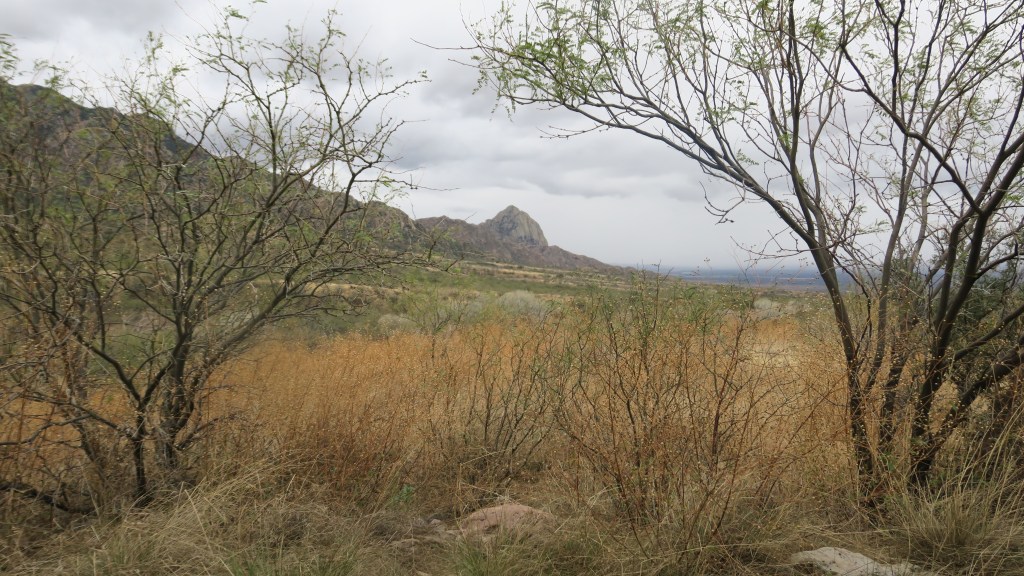 birding in madera canyon and canoa&nbsp;ranch