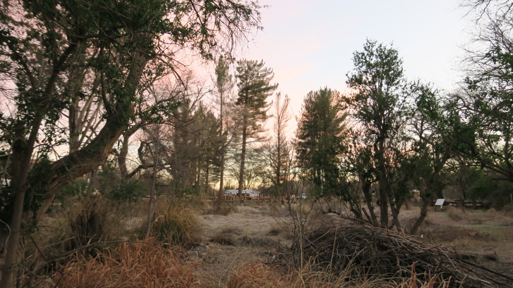 birding at patagonia&nbsp;lake
