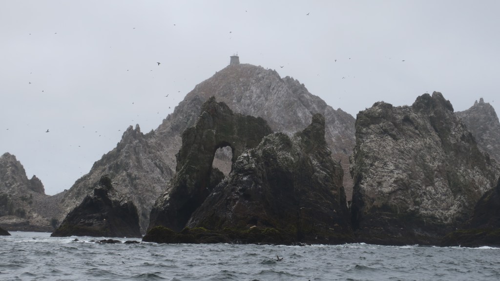 maritime birding: the farallon&nbsp;islands